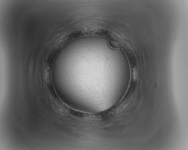 X0000116351059200912091125