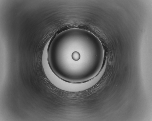 X0000116351060200912091125