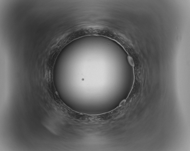 X0000116351061200912091125