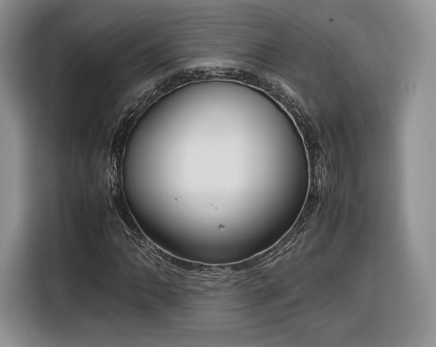 X0000116351062200912091125