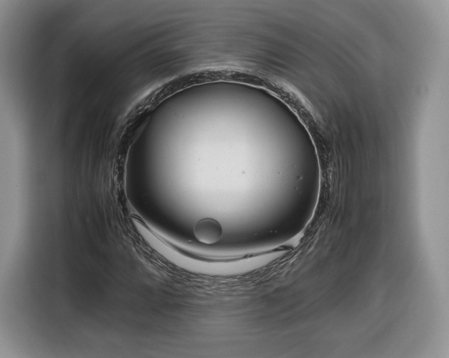 X0000116351064200912091125