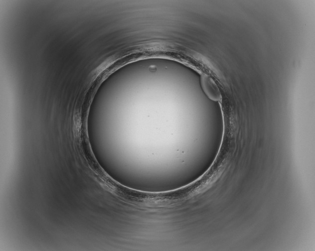 X0000116351065200912091125