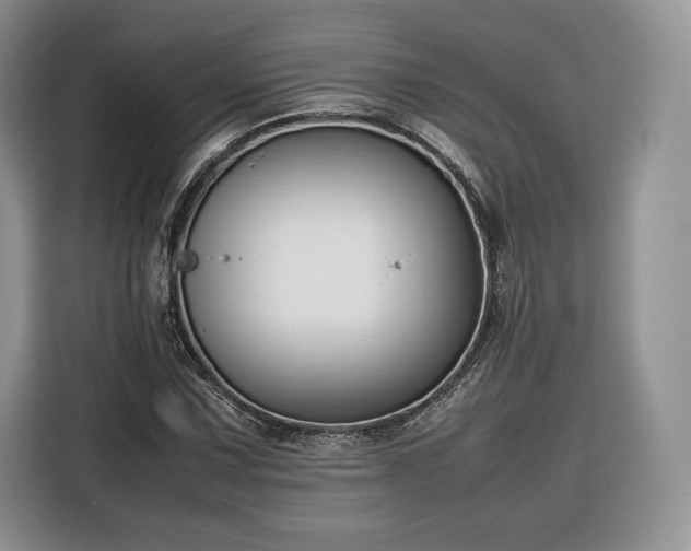 X0000116351067200912091125