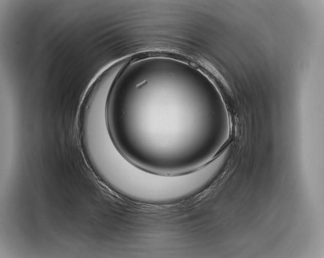 X0000116351068200912091125