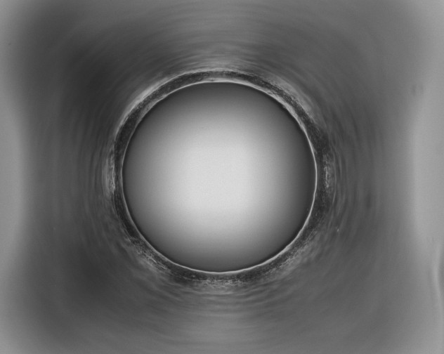 X0000116351069200912091125