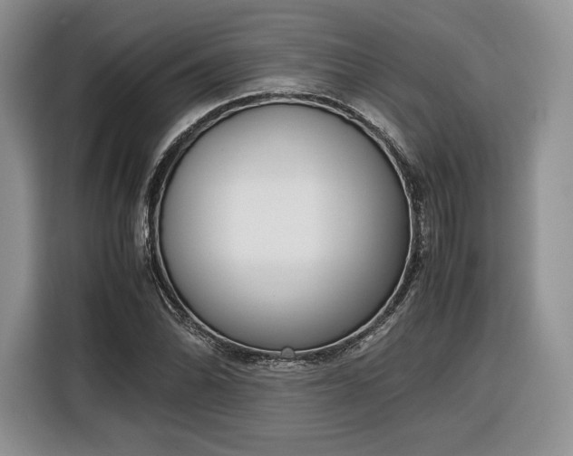 X0000116351070200912091125