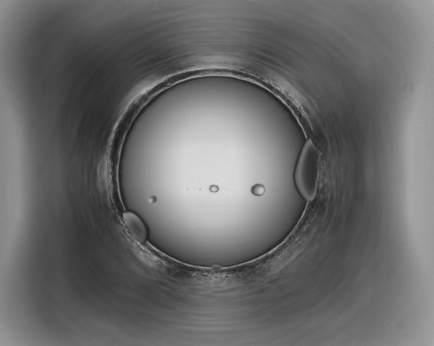 X0000116351072200912091125