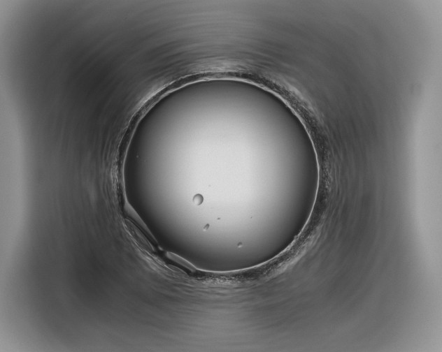 X0000116351073200912091125