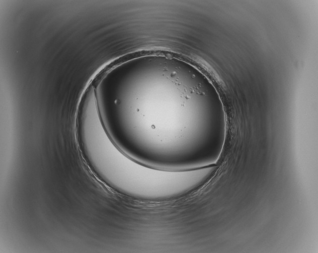 X0000116351076200912091125