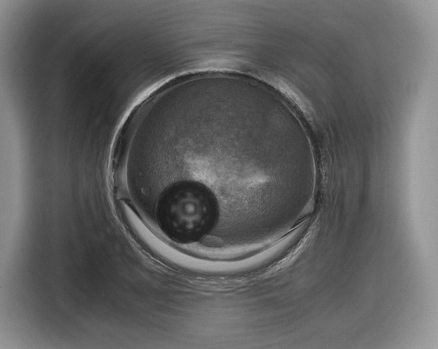 X0000116351077200912091125