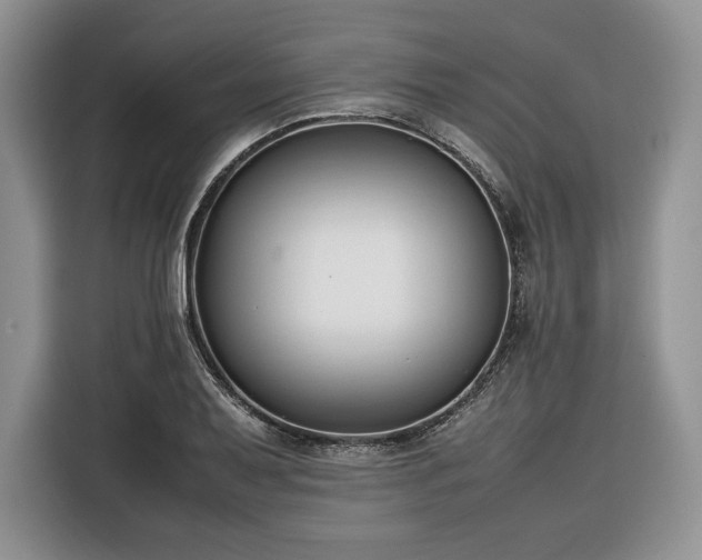 X0000116351079200912091125