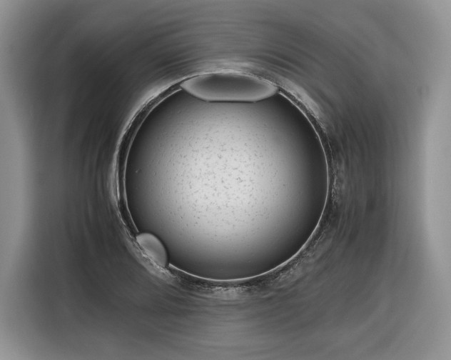 X0000116351080200912091125