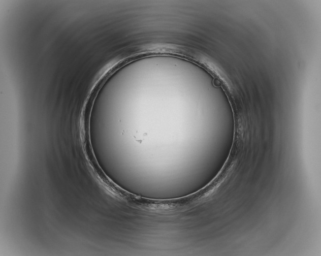 X0000116351082200912091125