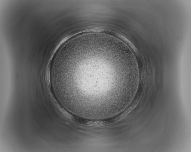 X0000116351083200912091125