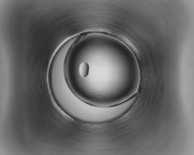 X0000116351084200912091125