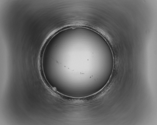 X0000116351085200912091125