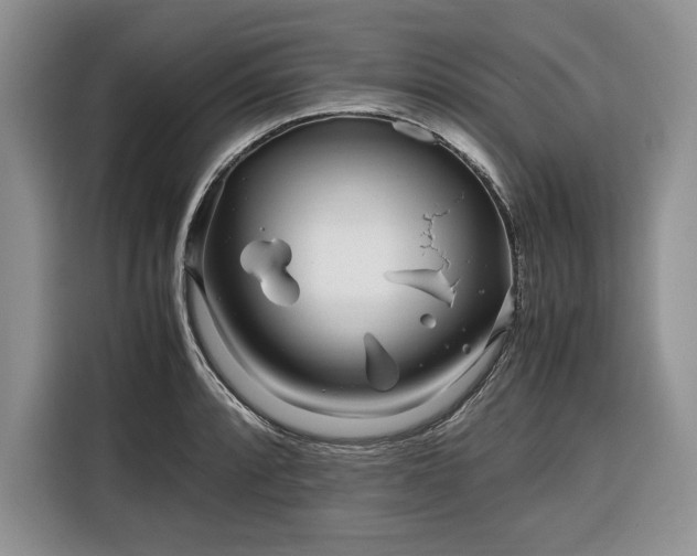 X0000116351088200912091125