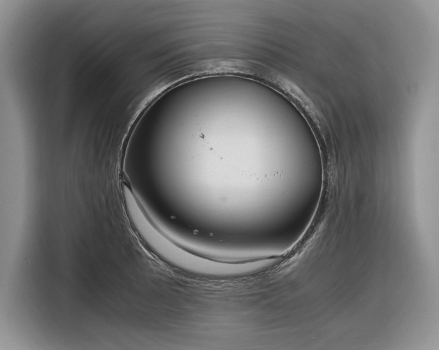 X0000116351089200912091125