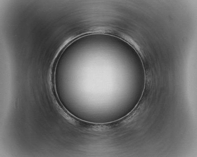 X0000116351091200912091125