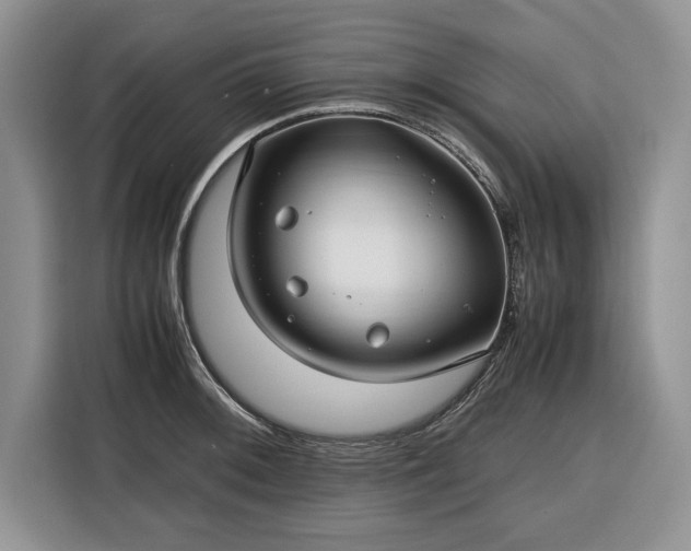 X0000116351092200912091125