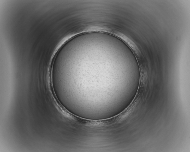 X0000116351094200912091125