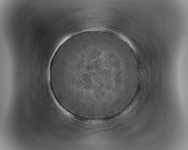 X0000116351095200912091125