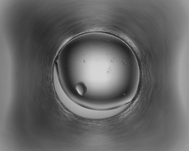 X0000116351097200912091125