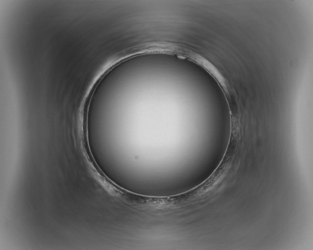 X0000116351099200912091125