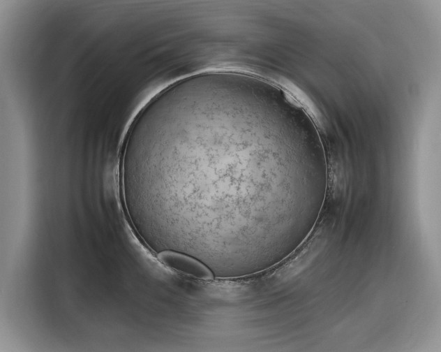 X0000116351100200912091125