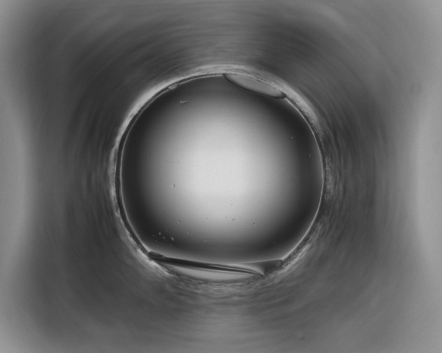 X0000116351102200912091125