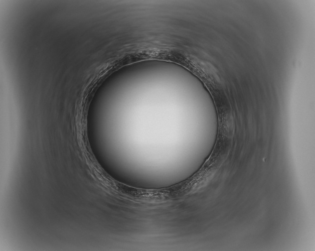 X0000116351105200912091124