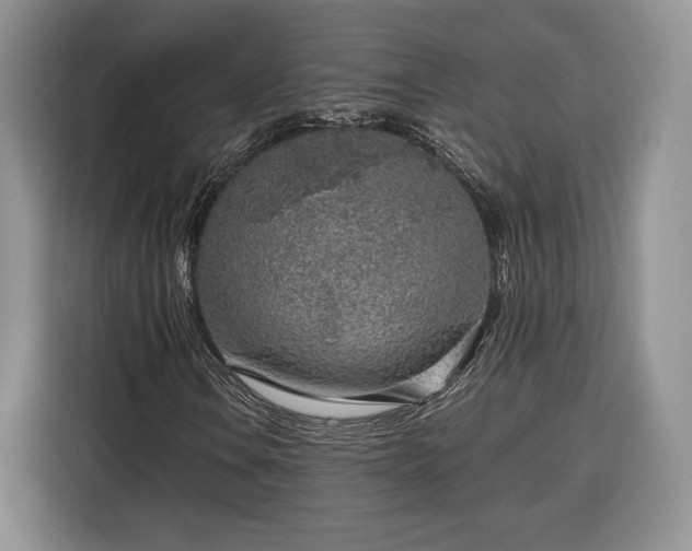 X0000116351106200912091124