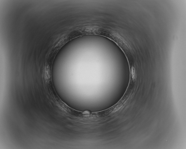 X0000116351107200912091124