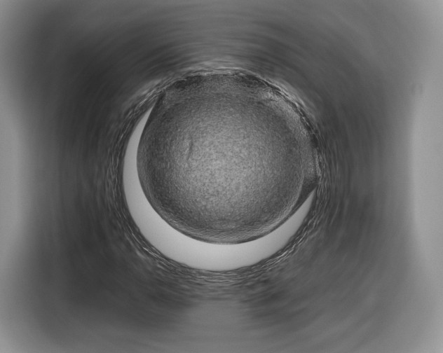 X0000116351110200912091124