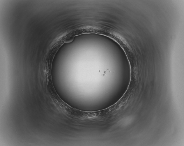 X0000116351111200912091124