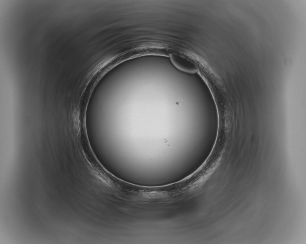 X0000116351113200912091124