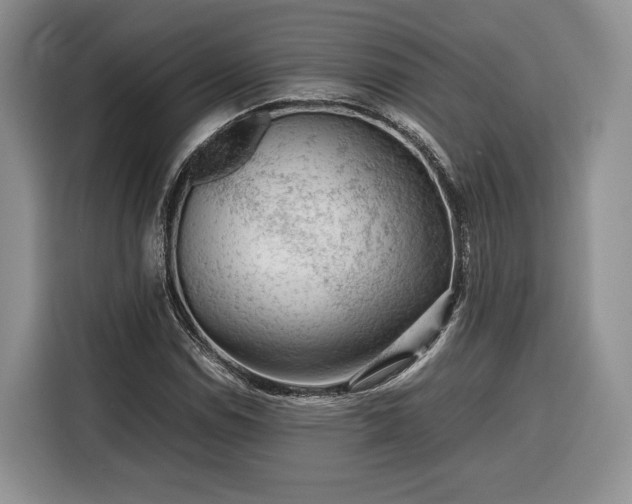 X0000116351114200912091124