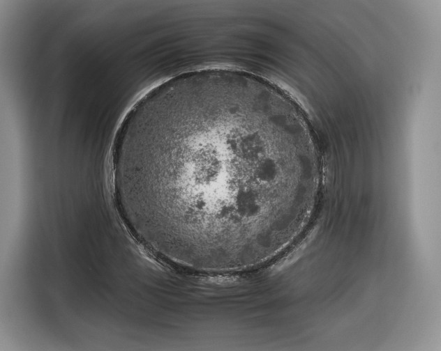 X0000116351117200912091124