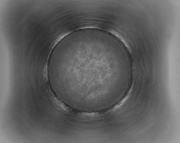 X0000116351121200912091124