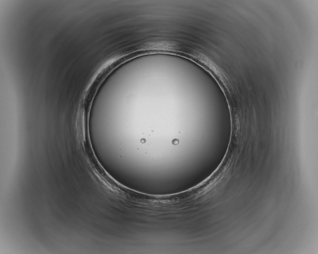 X0000116351123200912091124