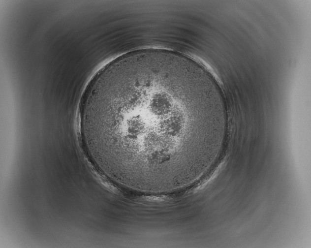 X0000116351125200912091124