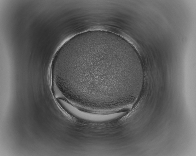 X0000116351127200912091124