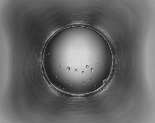 X0000116351129200912091124