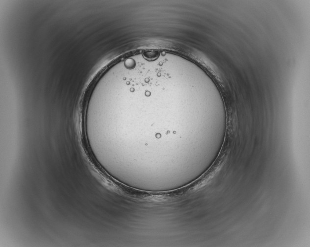 X0000116351130200912091124