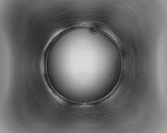 X0000116351131200912091124