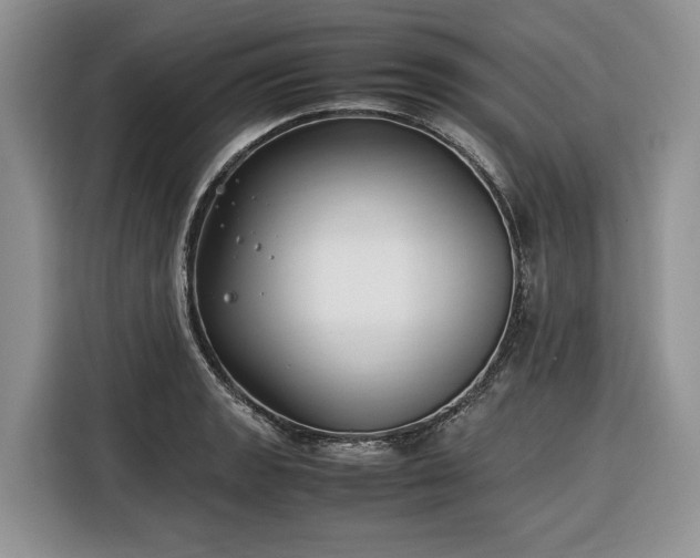 X0000116351133200912091124