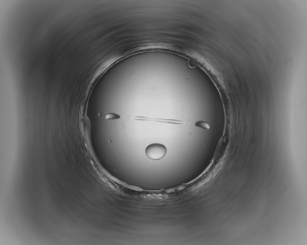 X0000116351137200912091124