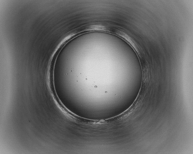 X0000116351139200912091124