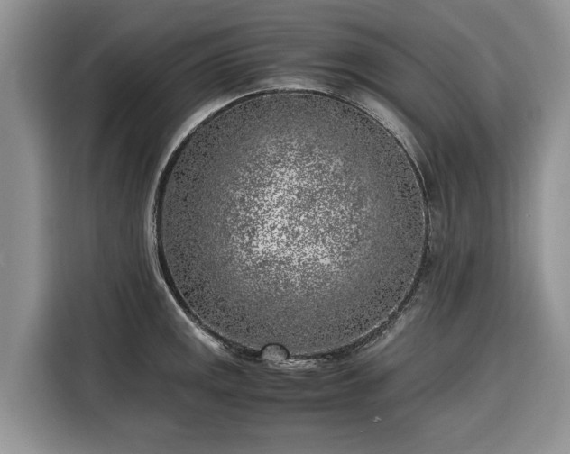 X0000116351141200912091124