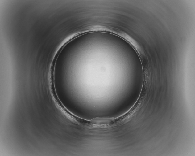 X0000116351142200912091124